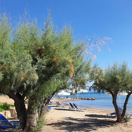 호텔 Holidays In Evia (adults Only) 에레트리아