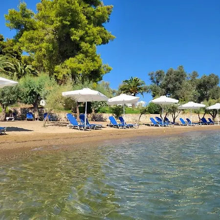 Holidays In Evia (adults Only) 3* Eretria (Evia)